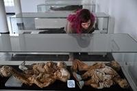 Corpos mumificados expostos tem autorização da família
