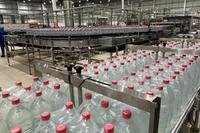 Na planta, em Paverama, a empresa intensificou o envase de Água da Pedra