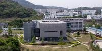 Países ocidente investigam laboratório de Wuhan