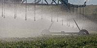 Irrigação é alternativa para contornar efeitos da estiagem
