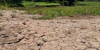 Em muitas localidades do Estado, solo segue se apresentando seco e com rachaduras