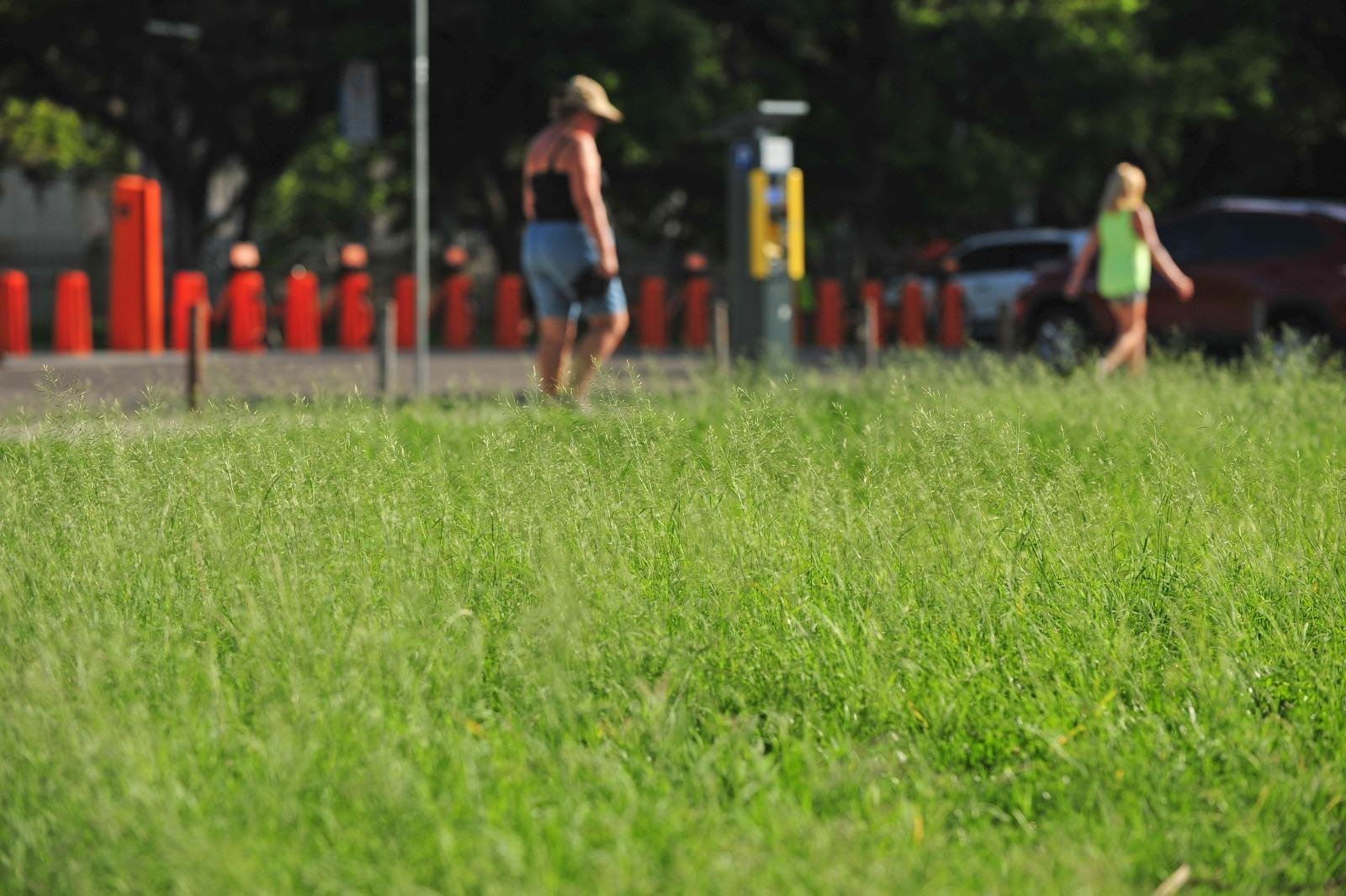 Matagal toma conta de partes do Parque Farroupilha, um dos cart&otilde;es-postais da Capital