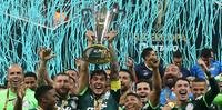 O Palmeiras é o atual campeão nacional. O Verdão tem como vantagem a manutenção do grupo vencedor, com exceção de Gustavo Scarpa, agora no Nottingham Forest