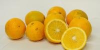 No Estado há 14,65 mil hectares plantados de laranja