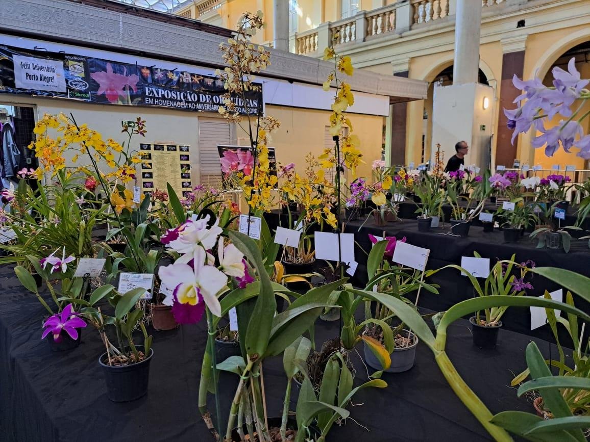 Flores est&atilde;o expostas no Espa&ccedil;o de Eventos do Mercado P&uacute;blico, no t&eacute;rreo.