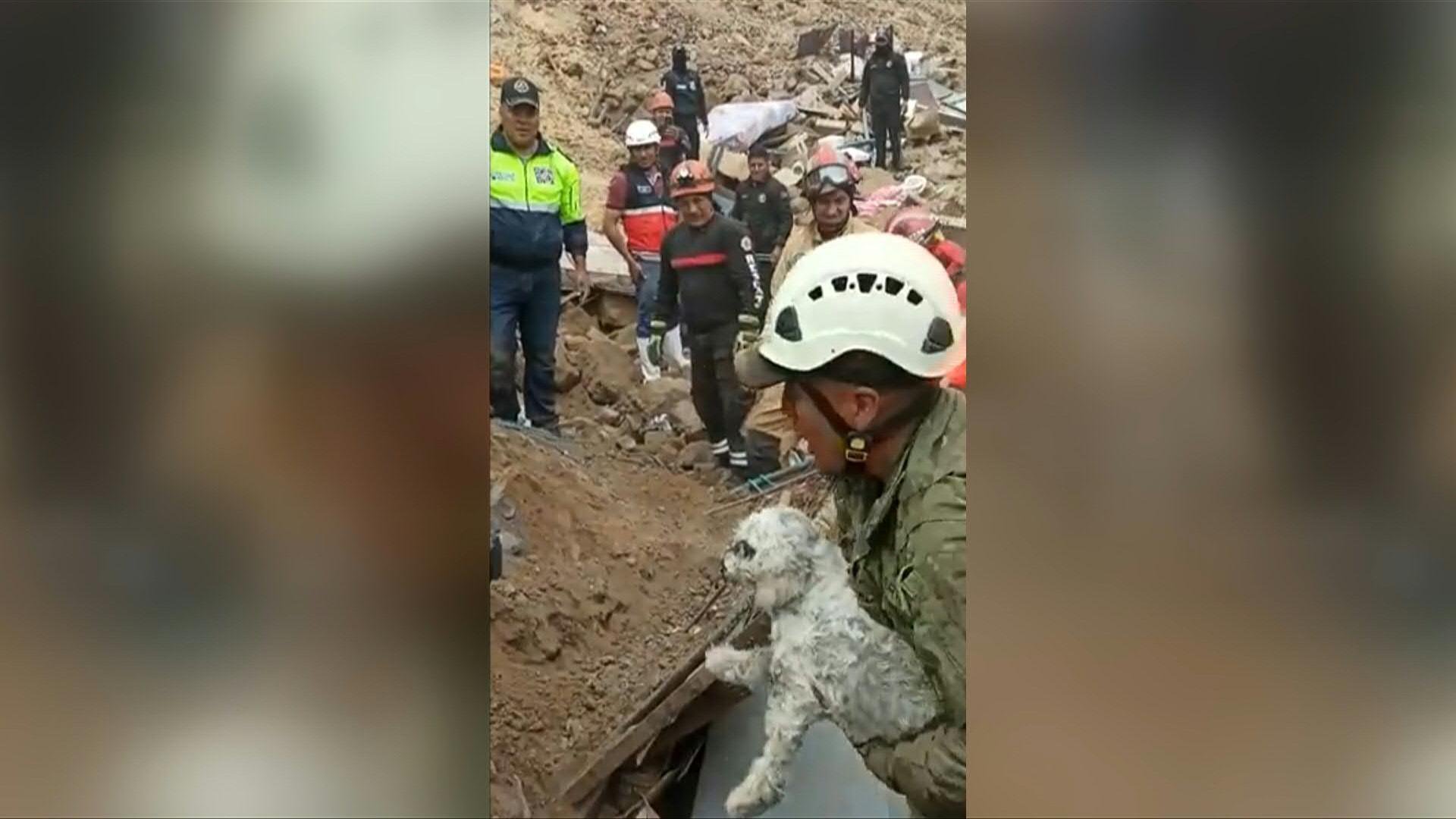 Em meio aos escombros, equipe resgata um cachorro