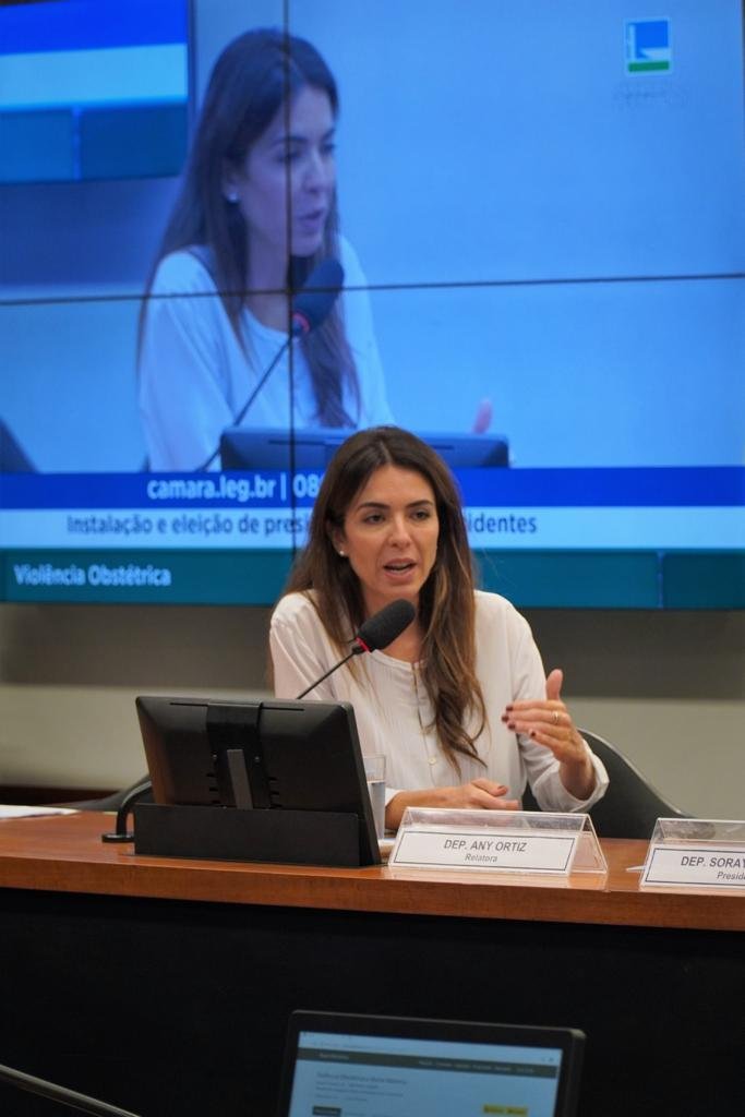 Deputada Any Ortiz apresentou projeto para fortalecer seguran&ccedil;a nas escolas