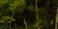 Detalhe da pintura do francês Gustave Courbet