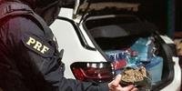 Droga apreendida é avaliada em R$ 650 mil, segundo Polícia Rodoviária Federal (PRF)