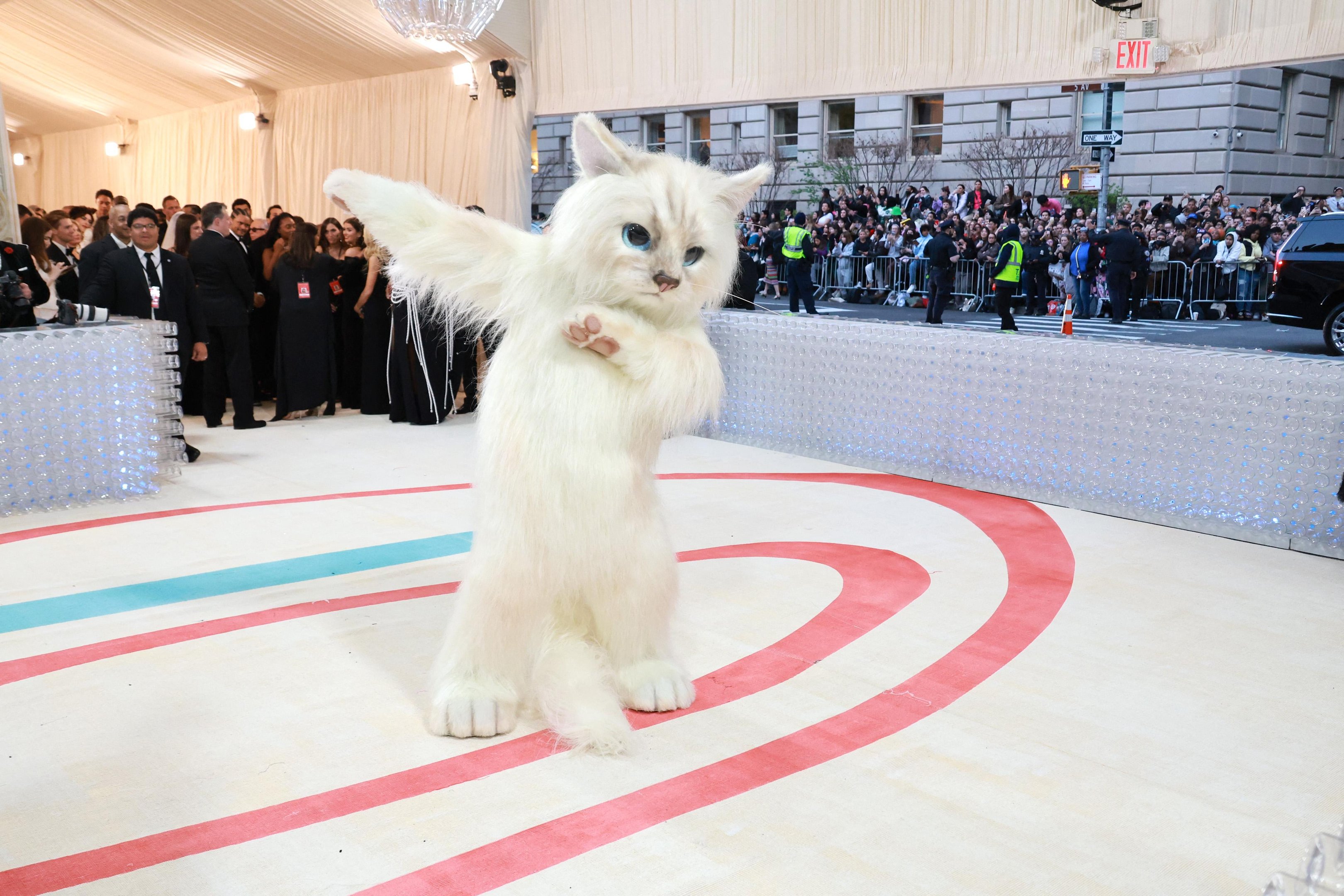 Jared Leto vai vestido como a gata de Karl Lagerfeld no Met Gala de 2023