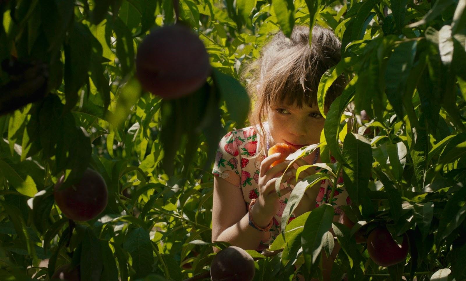 Filme espanhol &ldquo;Alcarr&agrave;s&rdquo; (2022), de Carla Sim&oacute;n, que entrar&aacute; em cartaz na programa&ccedil;&atilde;o da Sala Reden&ccedil;&atilde;o