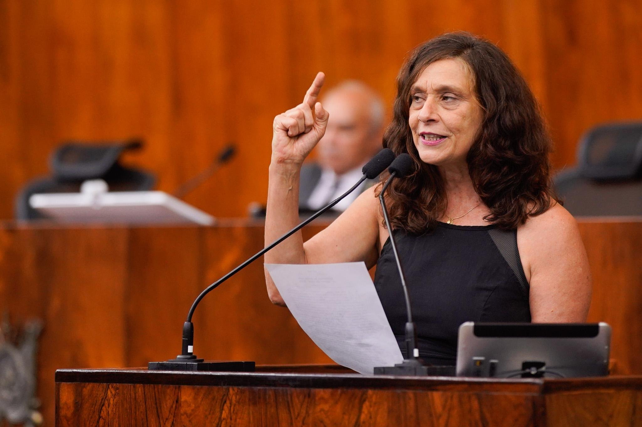 Segundo a deputada estadual Sofia Cavedon, objetivo &eacute; criar "campo democr&aacute;tico de esquerda"