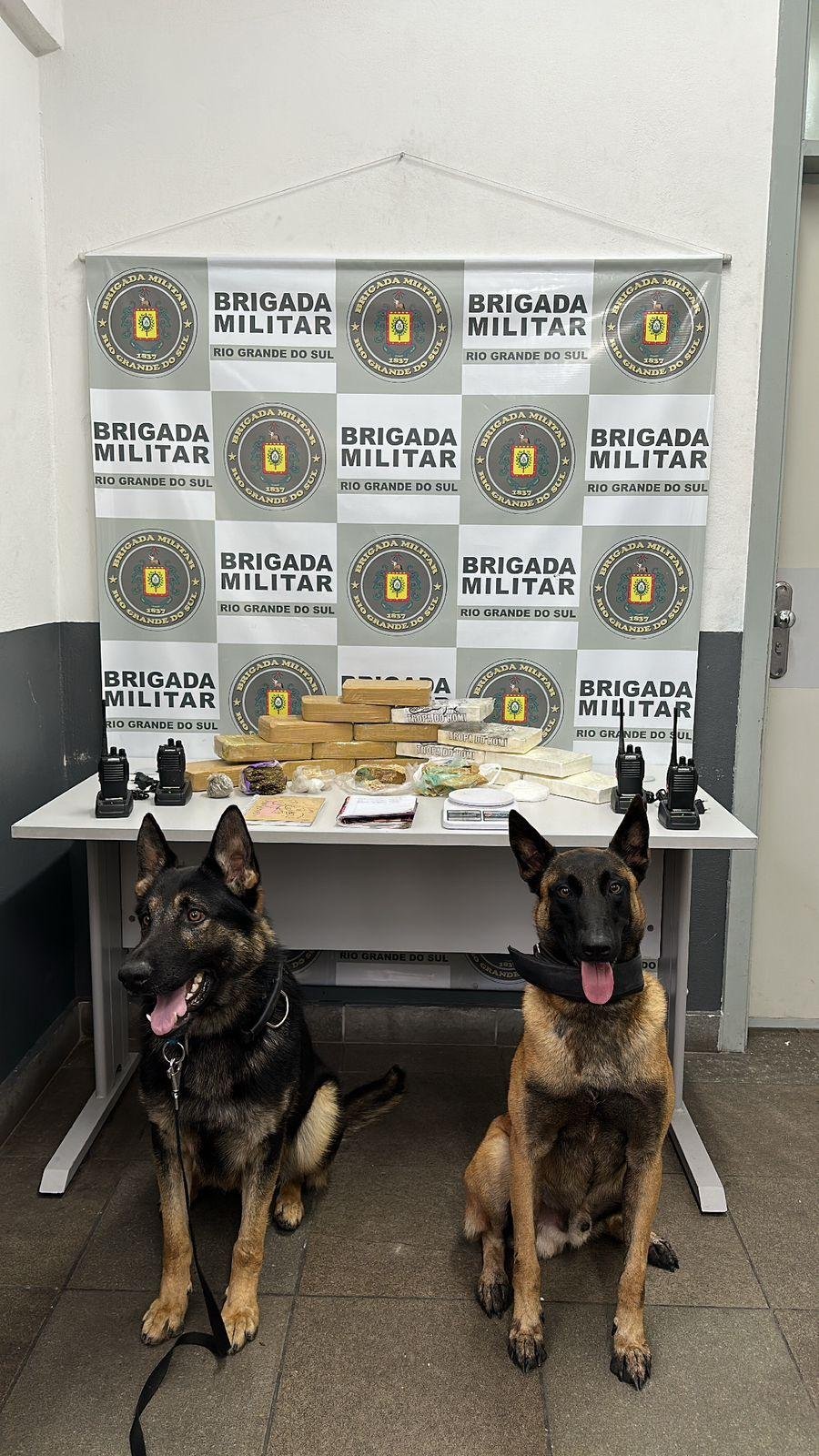 No total, foram apreendidos 10,278 quilos de crack, 6,07 quilos de coca&iacute;na e 205 gramas de maconha.