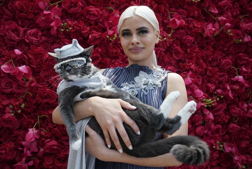 Desfile contou com o charme de cachorros e gato