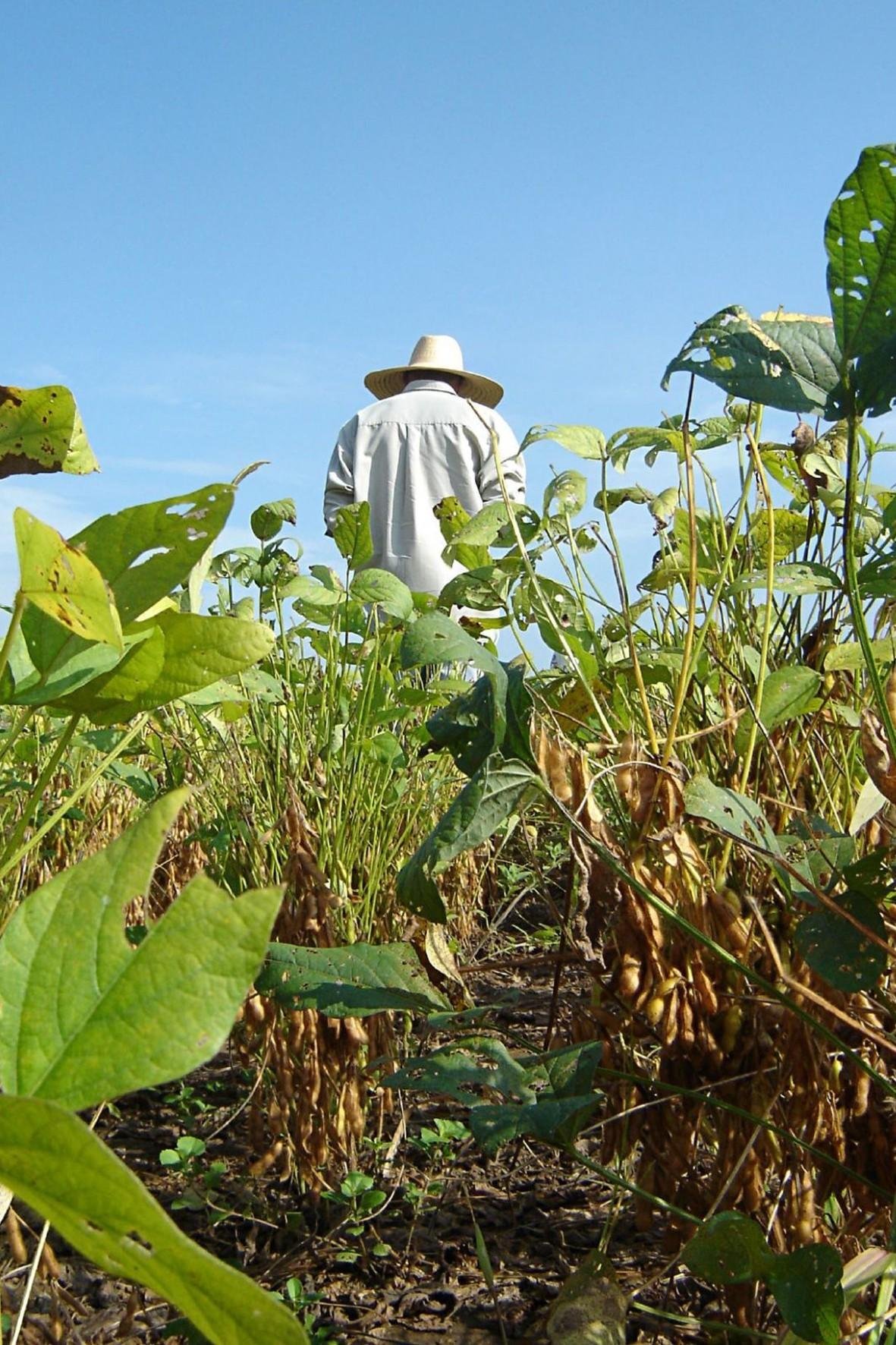 Trabalhadores da agropecu&aacute;ria, pecu&aacute;ria, silvicultura e explora&ccedil;&atilde;o florestal foram as principais v&iacute;timas neste per&iacute;odo