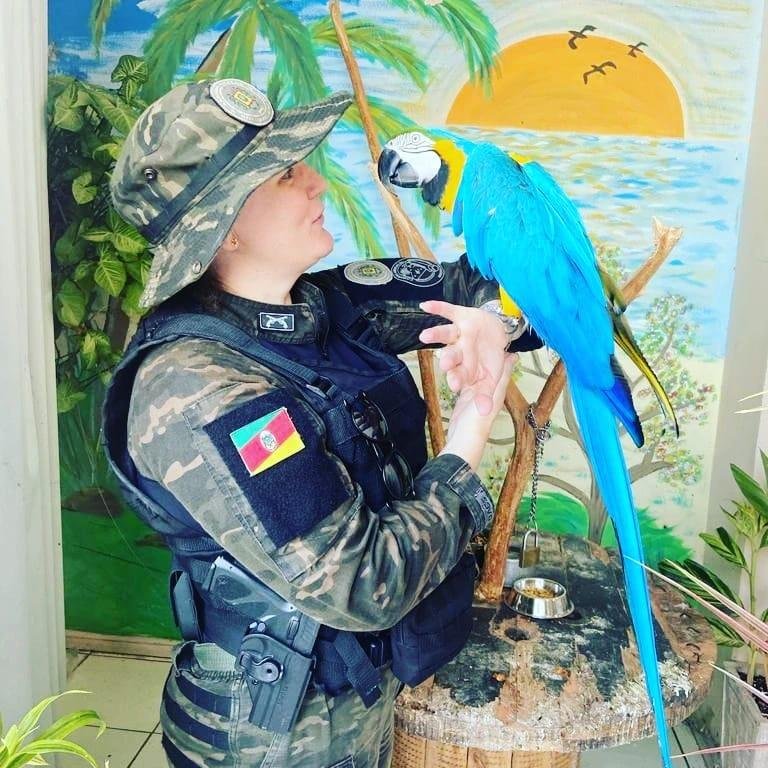 Cristiane Bassichetti atua no Comando Ambiental do 1&ordm; Batalh&atilde;o Ambiental da Brigada Militar