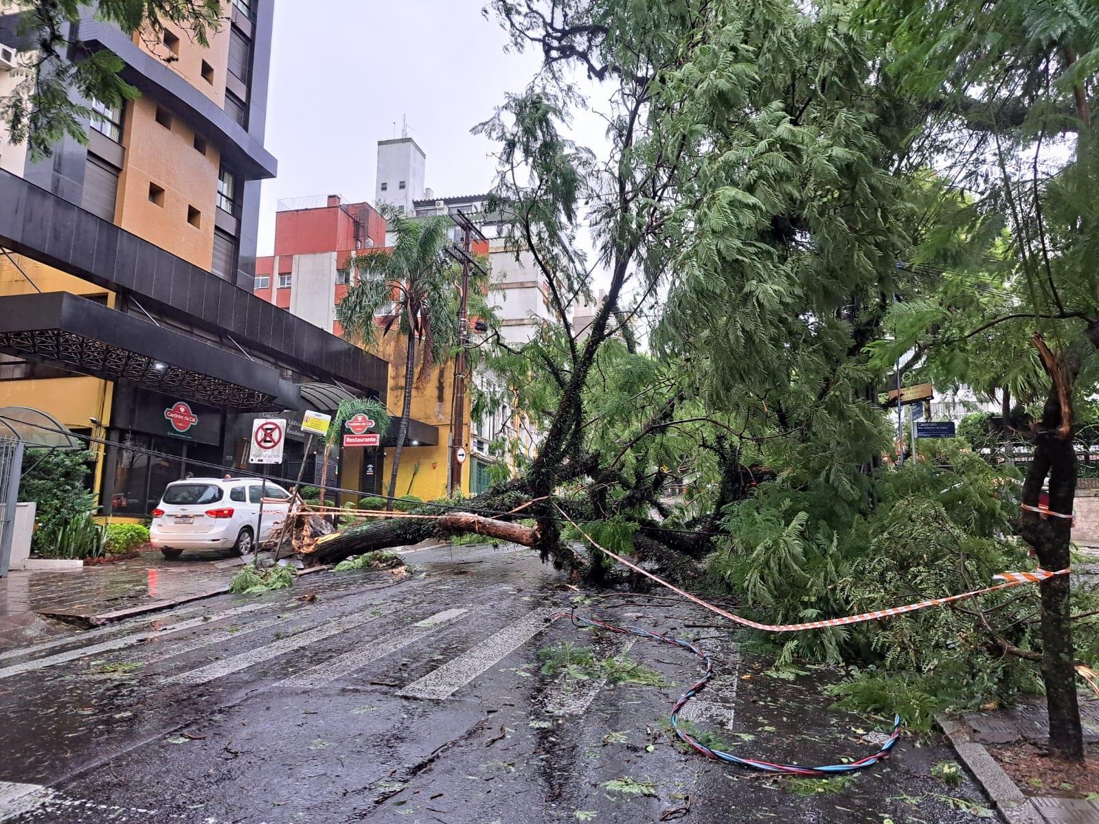 Diversas &aacute;rvores ca&iacute;ram em Porto Alegre, como essa na rua Ramiro Barcelos, e a prefeitura prioriza aquelas que est&atilde;o em ruas de maior escoamento do tr&acirc;nsito
