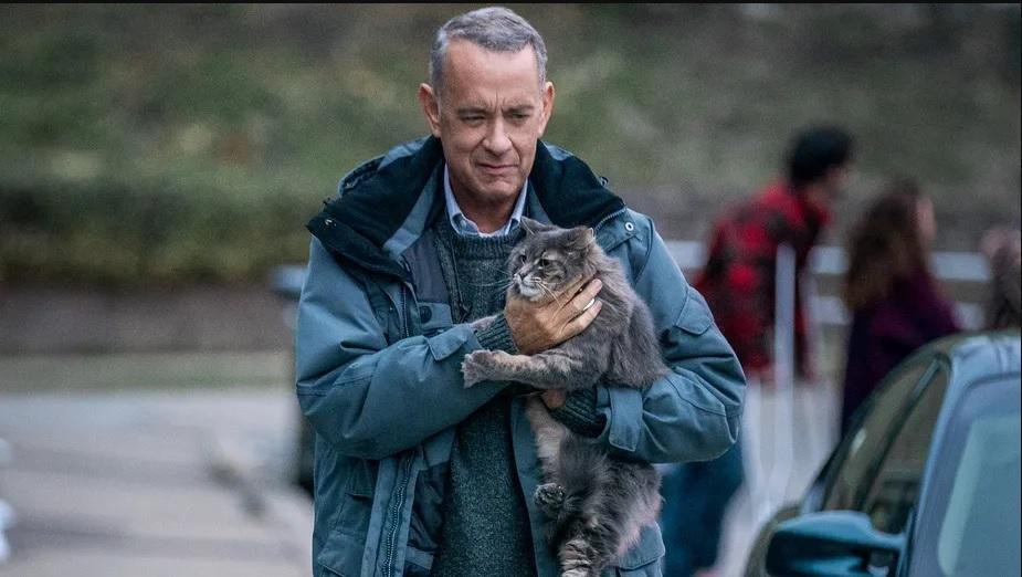 Tom Hanks atua no filme 'O pior vizinho do mundo'