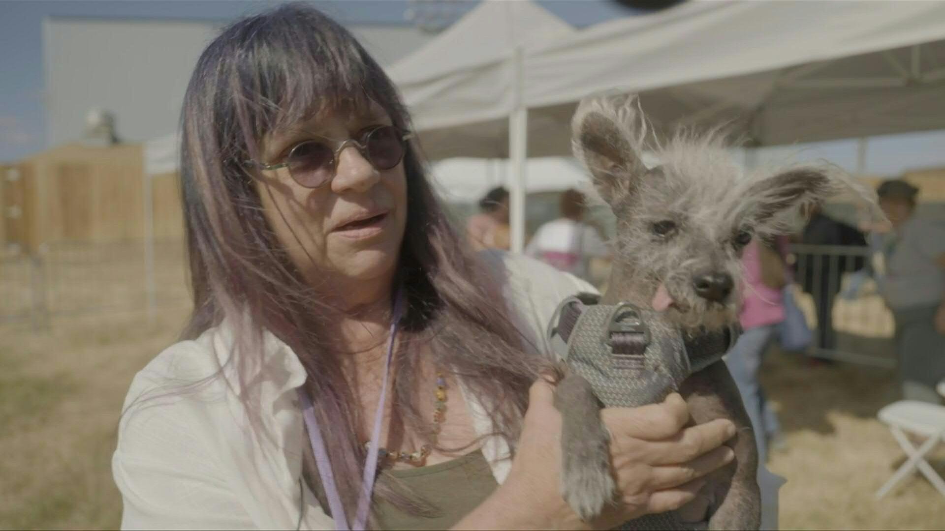 Disputa inusitada realizada no estado americano da Calif&oacute;rnia tem por objetivo promover a ado&ccedil;&atilde;o de animais que costumam ser rejeitados