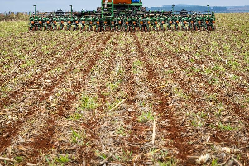 &ldquo;A antecipa&ccedil;&atilde;o em 10 dias do per&iacute;odo de vazio sanit&aacute;rio para a cultura da soja no Estado decorre de uma solicita&ccedil;&atilde;o dos produtores, a fim de melhor adequar o calend&aacute;rio de plantio da soja e outras culturas&rdquo;, afirmou, em nota, Ricardo Felicetti, diretor do Departamento de Defesa Vegetal da Seapi.