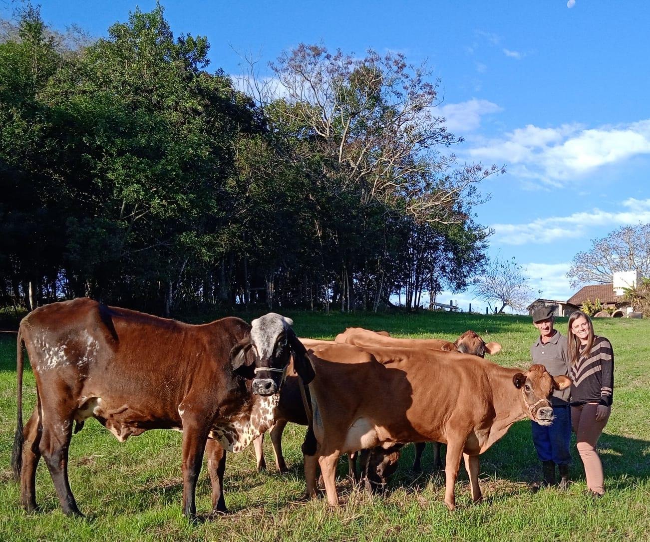 Denise da Rosa e o pai, Armindo da Rosa, em Novo Hamburgo, agora concentram produ&ccedil;&atilde;o de leite em seu s&iacute;tio, onde mant&ecirc;m latic&iacute;nio