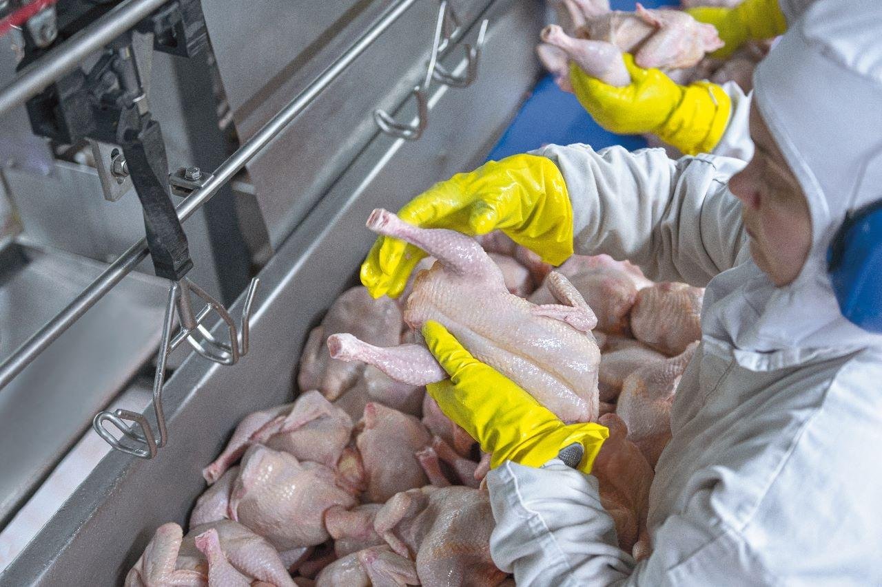 O Rio Grande do Sul foi o terceiro maior exportador nacional da prote&iacute;na, atingindo 372,7 mil toneladas