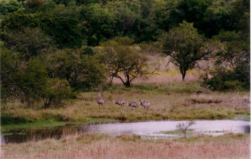 A Trilha Caminho no Pampa ter&aacute; percurso de 170 km passando por Alegrete, Quara&iacute;, Ros&aacute;rio do Sul e Santana do Livramento, inteiramente na APA do Ibirapuit&atilde;