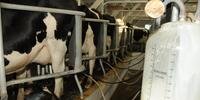 Produtores estão trabalhando sem o valor de referência do leite desde janeiro