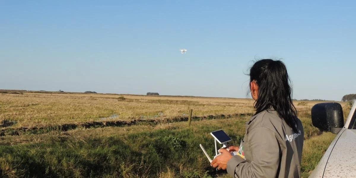 No Rio Grande do Sul, fiscaliza&ccedil;&atilde;o foi refor&ccedil;ada na Esta&ccedil;&atilde;o Ecol&oacute;gica do Taim ap&oacute;s descoberta, em maio, de casos da doen&ccedil;a em aves silvestres migrat&oacute;rias
