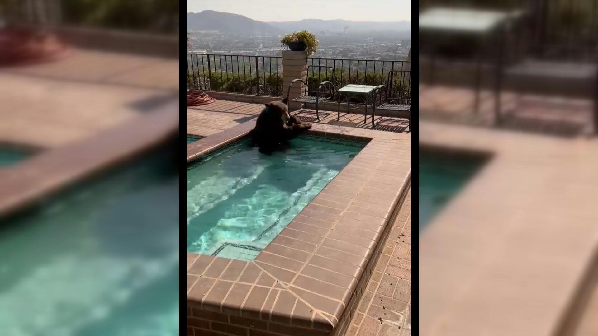 Imagens foram divulgadas pelo Departamento de Pol&iacute;cia de Burbank