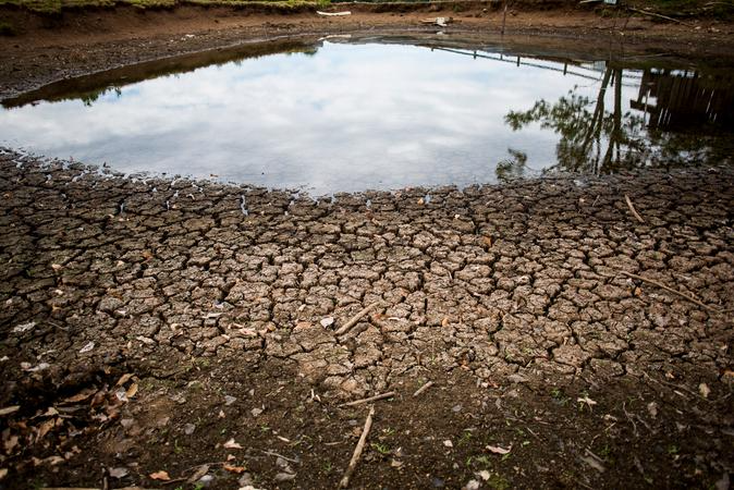 Estiagens causaram preju&iacute;zos &agrave; atividade agropecu&aacute;ria nos &uacute;ltimos anos