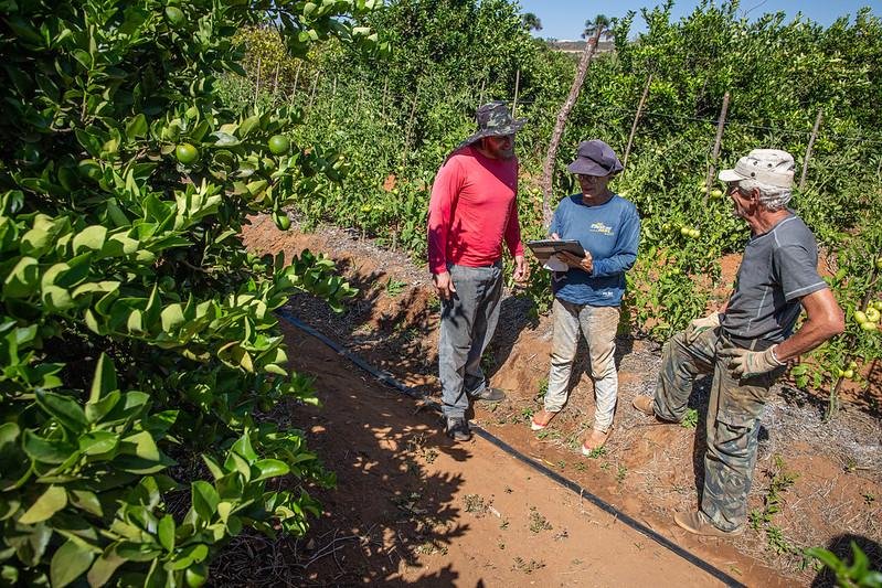 O programa do governo federal &eacute; uma pol&iacute;tica p&uacute;blica de assist&ecirc;ncia social que associa transfer&ecirc;ncia de renda n&atilde;o reembols&aacute;vel e presta&ccedil;&atilde;o de servi&ccedil;os de Assist&ecirc;ncia T&eacute;cnica e Extens&atilde;o Rural e Social (Aters).