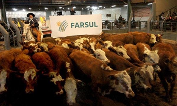Evento do ano passado vendeu mais de 400 animais e faturou mais de R$ 1,3 milh&atilde;o
