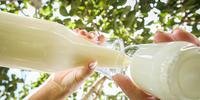 De acordo com a Conab, o leite em pó adquirido será destinado a pessoas em condições de insegurança alimentar e nutricional.