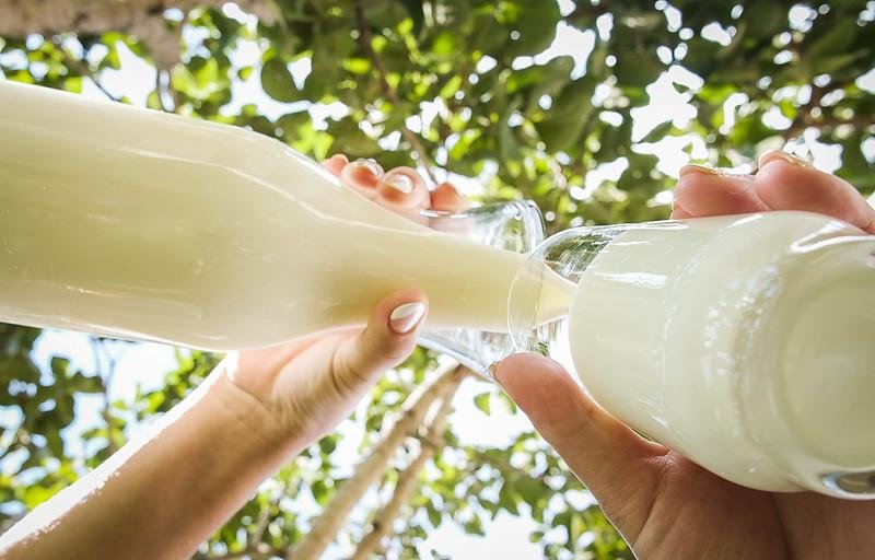 De acordo com a Conab, o leite em p&oacute; adquirido ser&aacute; destinado a pessoas em condi&ccedil;&otilde;es de inseguran&ccedil;a alimentar e nutricional.