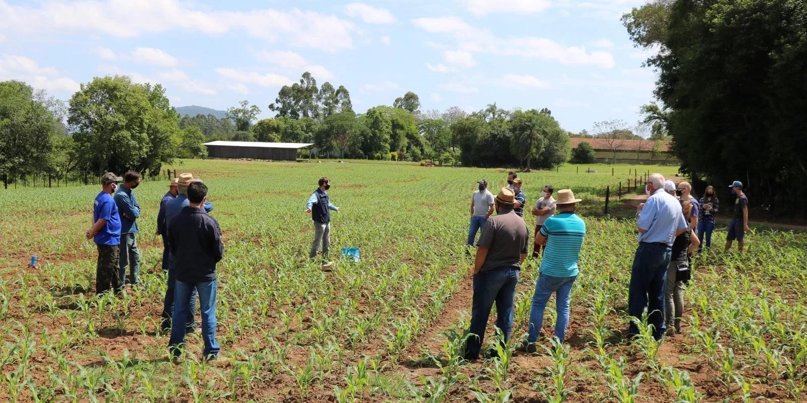 Empresa atende a p&uacute;blicos diversos para a produ&ccedil;&atilde;o agropecu&aacute;ria