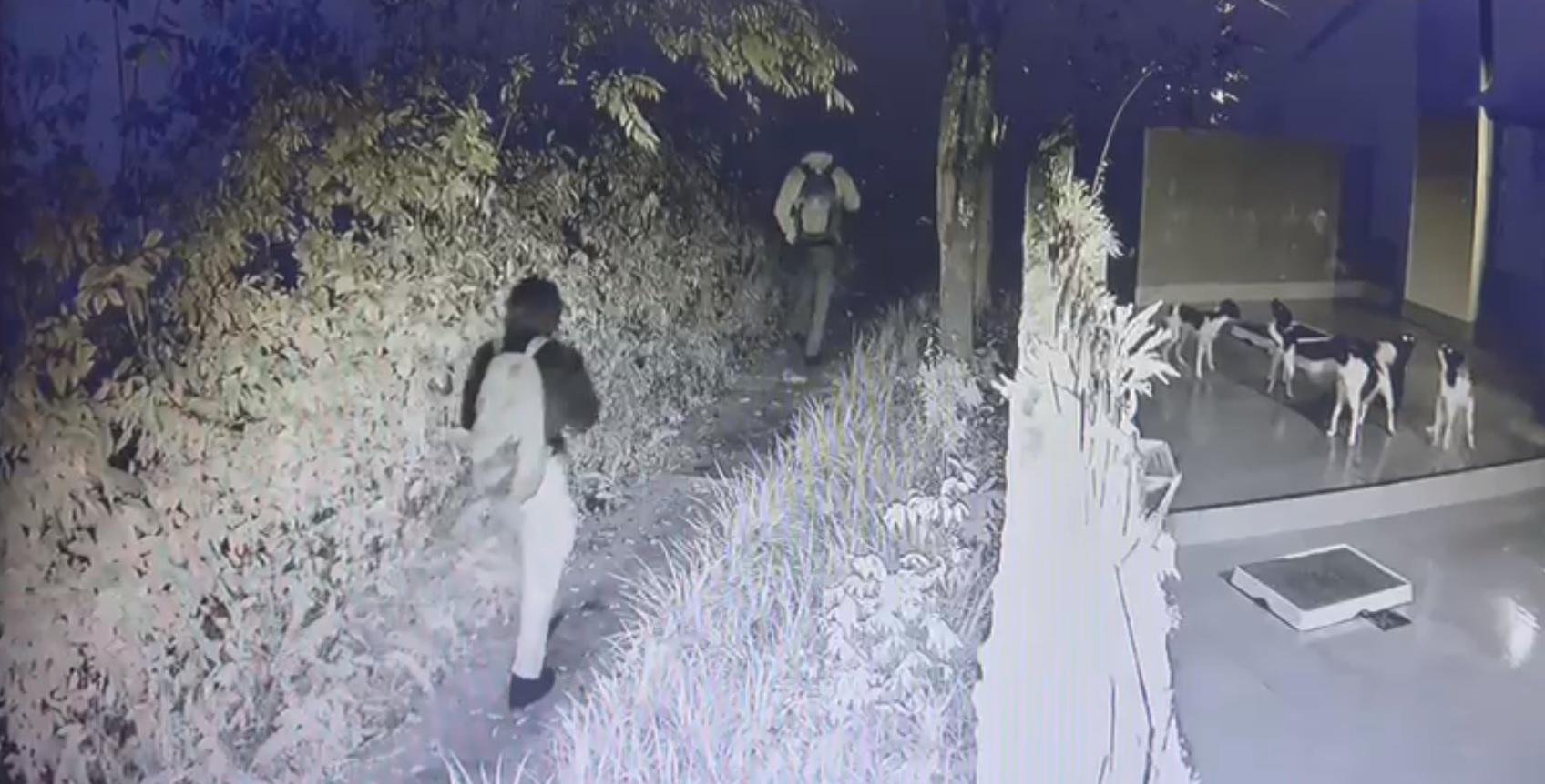 Criminosos invadiam casas a partir de trilhas no Parque Morro do Osso, na Zona Sul