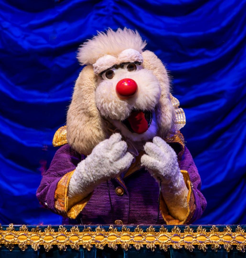 &Uacute;ltimo final de semana para assistir a "Bom pra cachorro - O Espetacular Circo Theatro do Abelardo"