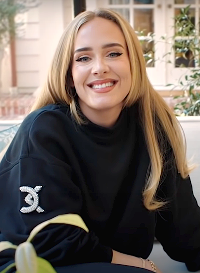 Adele n&atilde;o gostou da atitude de seguran&ccedil;a com f&atilde;