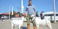 Renato Moreira Linhares, de Santana do Boa Vista, comprou animais no Rio Grande do Norte