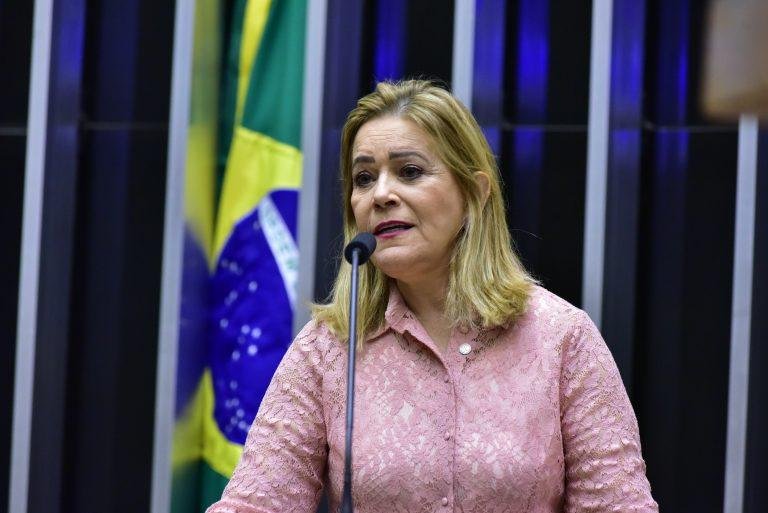 L&ecirc;da Borges, relatora da proposta