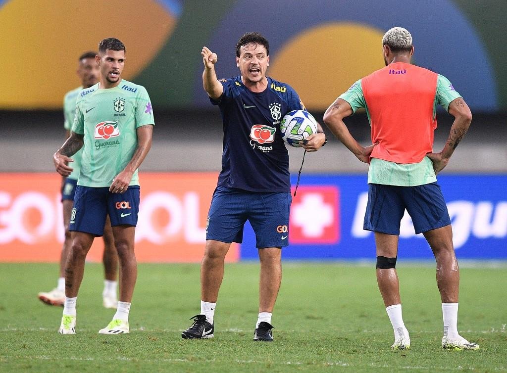 T&eacute;cnico do Brasil, Fernando Diniz