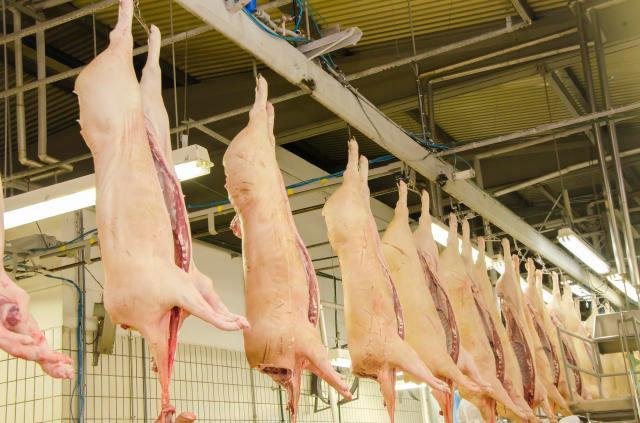 Embarques em agosto alcan&ccedil;aram 112,8 mil toneladas