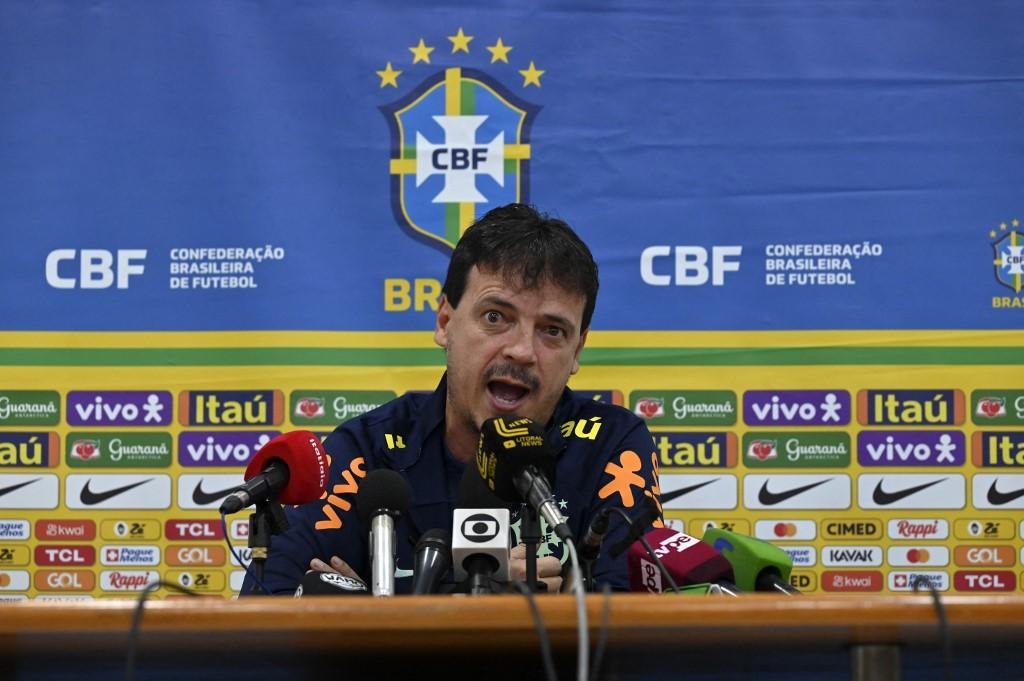 T&eacute;cnico da Sele&ccedil;&atilde;o, Fernando Diniz