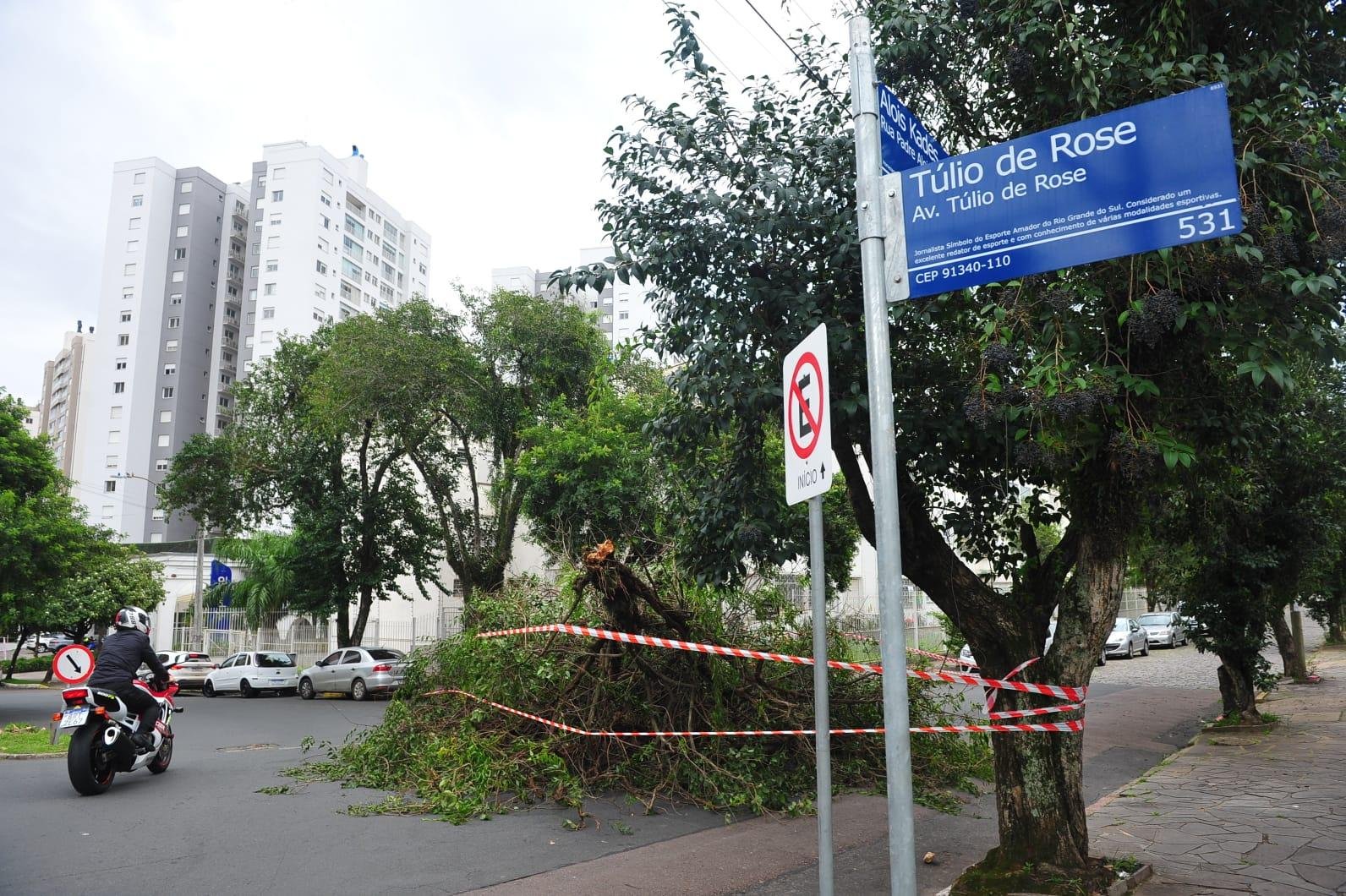Bloqueio parcial ocorreu no cruzamento da avenida T&uacute;lio de Rose e a Rua Padre Alois Kades devido &agrave; queda de &aacute;rvore