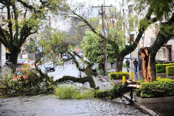 Caminh&atilde;o-ba&uacute; bateu hoje e derrubou uma &aacute;rvore na Rua Cabral