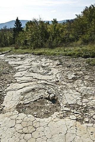 Descobertas na Fran&ccedil;a maiores pegadas de dinossauro do mundo