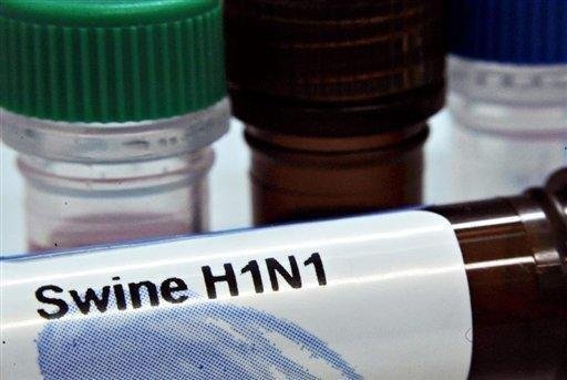 Gripe A j&aacute; matou 5 mil no mundo, segundo OMS