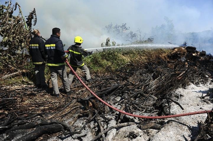 Bombeiros tentam controlar inc&ecirc;ndio no parque Marinha
