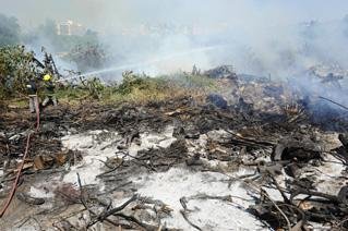 Bombeiros levaram mais de uma hora para apagar o fogo no parque Marinha do Brasil 